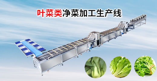 葉菜類(lèi)凈菜加工設(shè)備包括哪些？