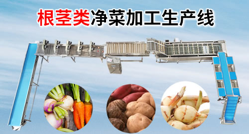 根莖類蔬菜清洗設(shè)備及工藝流程